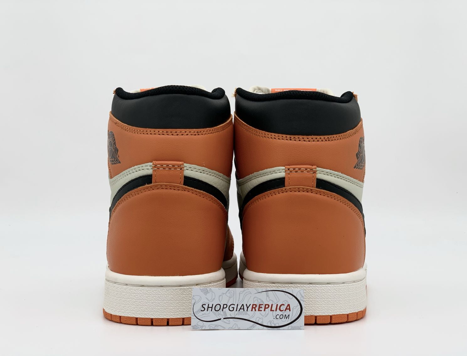 Reverse Shattered Backboard