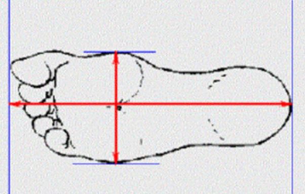 đo bàn chân chọn size giày