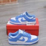 Nike Dunk Low UNC 2021