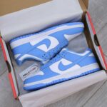 Nike Dunk Low UNC 2021 Rep 1:1