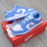 giày nike dunk xanh