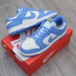 Nike Dunk Low Coast Rep 1:1