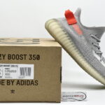 hộp box và giày adidas yeezy 350 v2 tail light rep 1:1