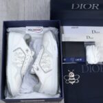 Giày Dior B27 Low White Gray Like Auth