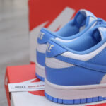 Nike Dunk Low UNC 2021