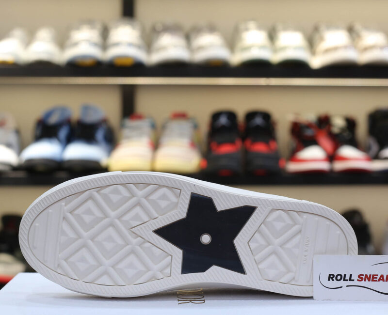 Giày WALK’N’DIOR SNEAKER Gray Stone Dior Oblique Embroidered Cotton