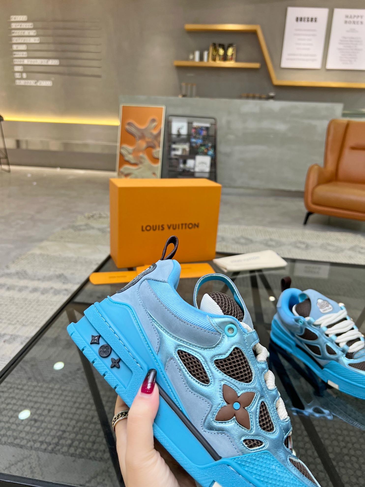 Louis Vuitton Skate Trainer Blue Brown Best Quality