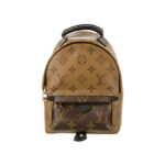 Balo Louis Vuitton 2019 Monogram Reverse Palm Springs Mini