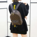 Balo Backpack LV Palm Spring PM