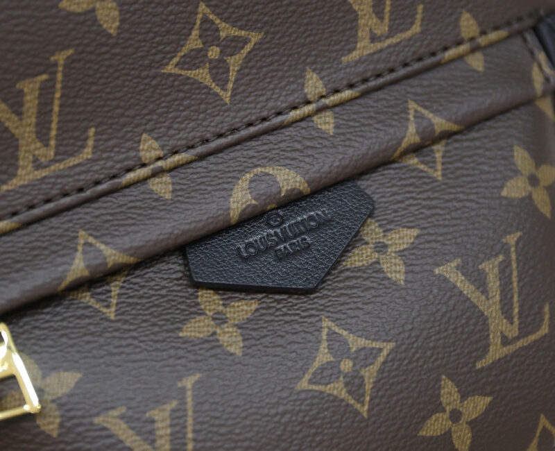 Balo Backpack LV Palm Spring PM