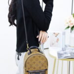 Balo Louis Vuitton 2019 Monogram Reverse Palm Springs Mini