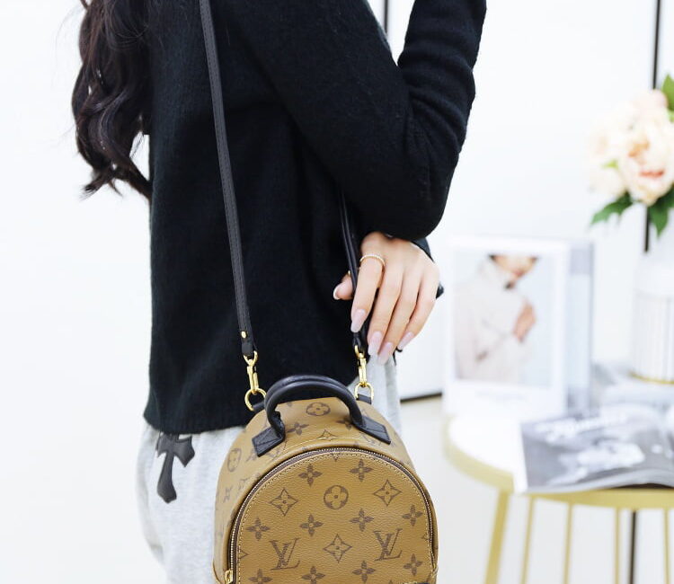 Balo Louis Vuitton 2019 Monogram Reverse Palm Springs Mini