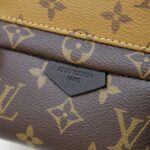 Balo Louis Vuitton 2019 Monogram Reverse Palm Springs Mini