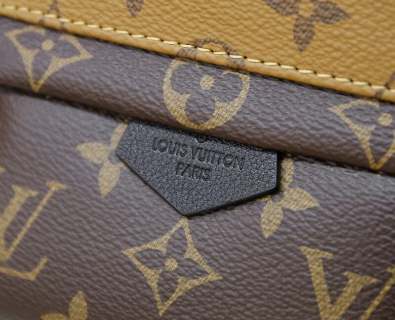 Balo Louis Vuitton 2019 Monogram Reverse Palm Springs Mini