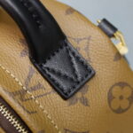 Balo Louis Vuitton 2019 Monogram Reverse Palm Springs Mini