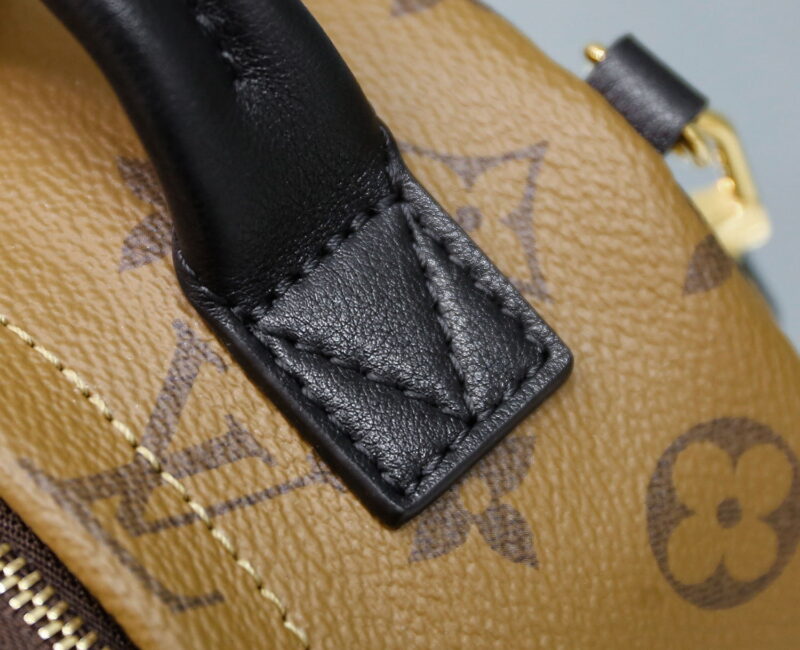 Balo Louis Vuitton 2019 Monogram Reverse Palm Springs Mini