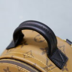 Balo Louis Vuitton 2019 Monogram Reverse Palm Springs Mini