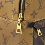 Balo Louis Vuitton 2019 Monogram Reverse Palm Springs Mini
