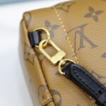 Balo Louis Vuitton 2019 Monogram Reverse Palm Springs Mini