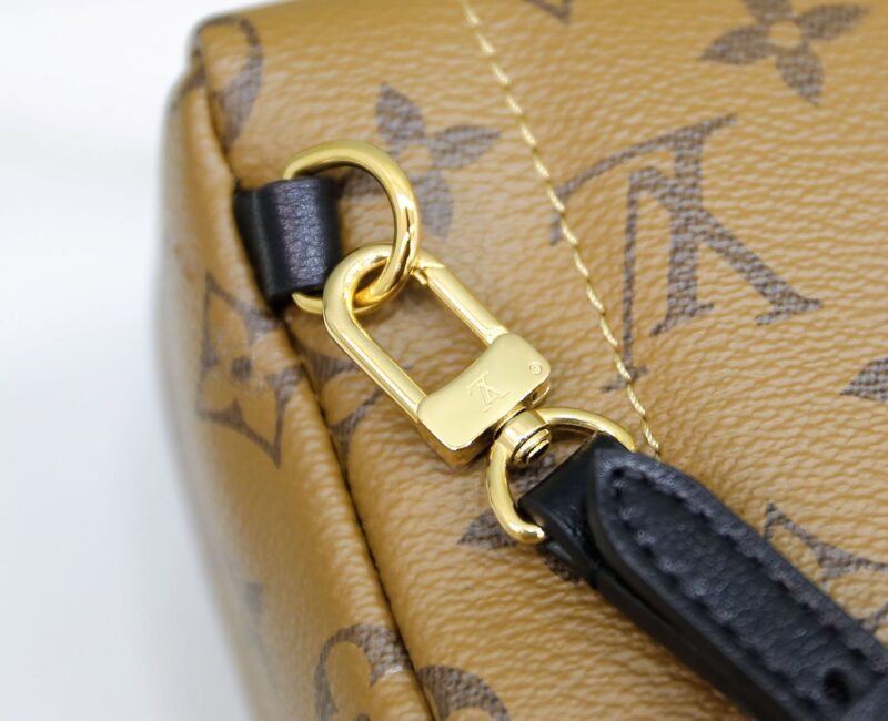 Balo Louis Vuitton 2019 Monogram Reverse Palm Springs Mini