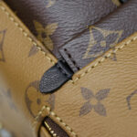 Balo Louis Vuitton 2019 Monogram Reverse Palm Springs Mini