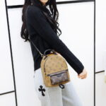 Balo Louis Vuitton 2019 Monogram Reverse Palm Springs Mini