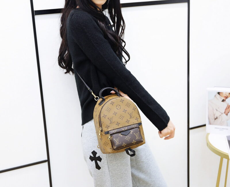 Balo Louis Vuitton 2019 Monogram Reverse Palm Springs Mini