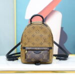 Balo Louis Vuitton 2019 Monogram Reverse Palm Springs Mini