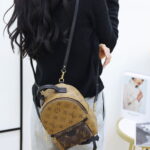 Balo Louis Vuitton 2019 Monogram Reverse Palm Springs Mini