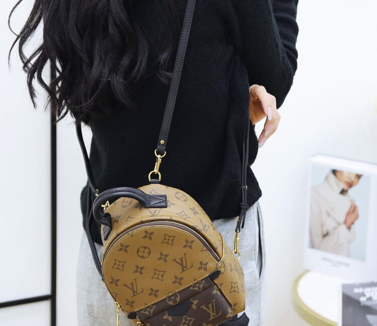 Balo Louis Vuitton 2019 Monogram Reverse Palm Springs Mini