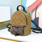 Balo Louis Vuitton 2019 Monogram Reverse Palm Springs Mini