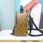 Balo Louis Vuitton 2019 Monogram Reverse Palm Springs Mini