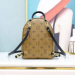Balo Louis Vuitton 2019 Monogram Reverse Palm Springs Mini