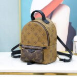 Balo Louis Vuitton 2019 Monogram Reverse Palm Springs Mini