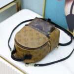 Balo Louis Vuitton 2019 Monogram Reverse Palm Springs Mini