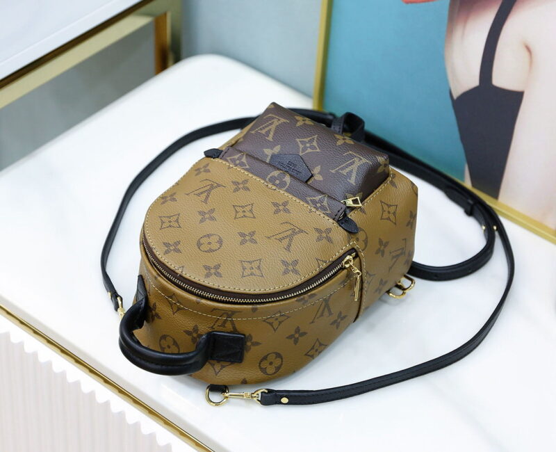 Balo Louis Vuitton 2019 Monogram Reverse Palm Springs Mini