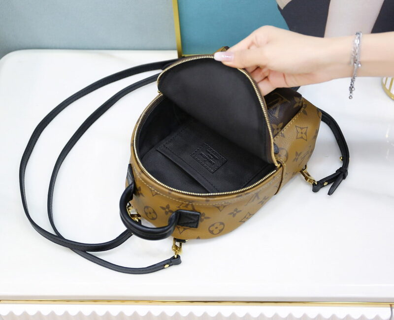 Balo Louis Vuitton 2019 Monogram Reverse Palm Springs Mini