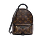 Balo Louis Vuitton Palm Springs Mini Brown