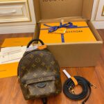 Balo Louis Vuitton Palm Springs Mini Brown