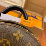 Balo Louis Vuitton Palm Springs Mini Brown
