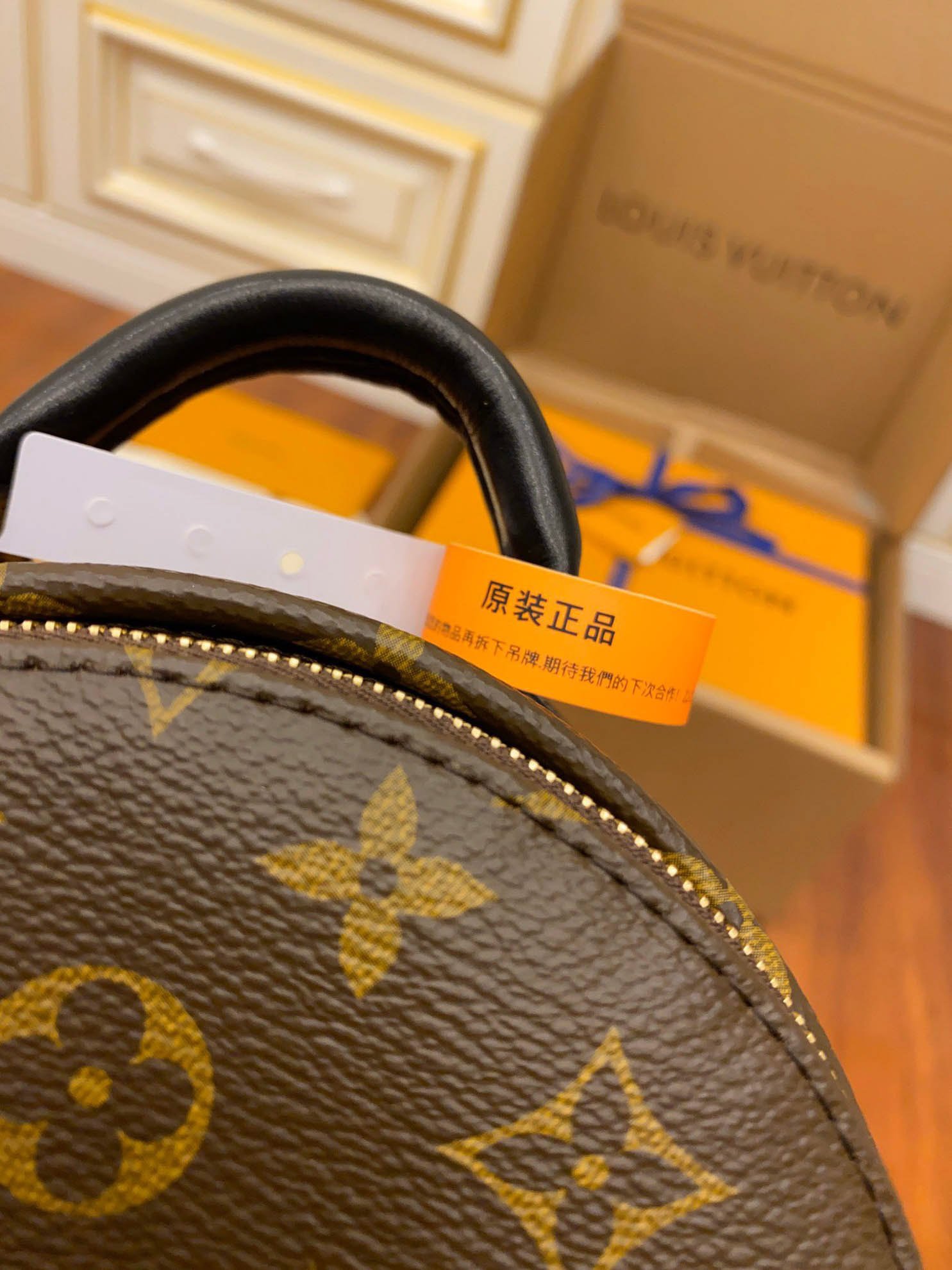 Balo Louis Vuitton Palm Springs Mini Brown