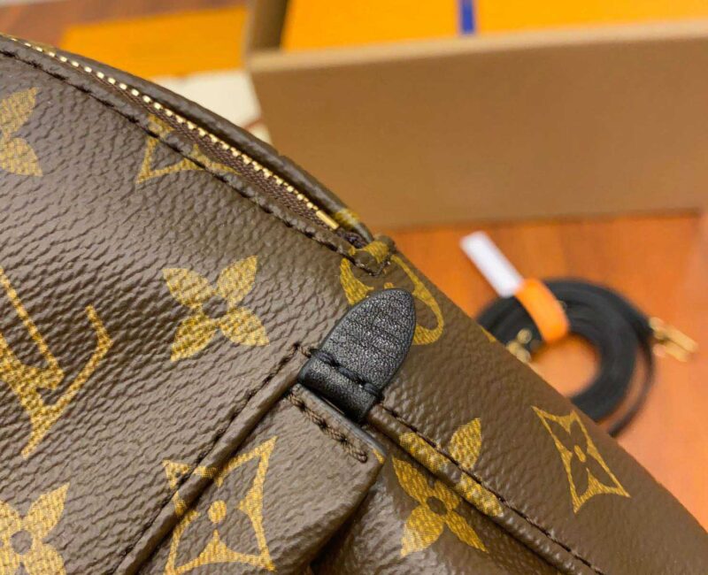 Balo Louis Vuitton Palm Springs Mini Brown