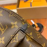 Balo Louis Vuitton Palm Springs Mini Brown