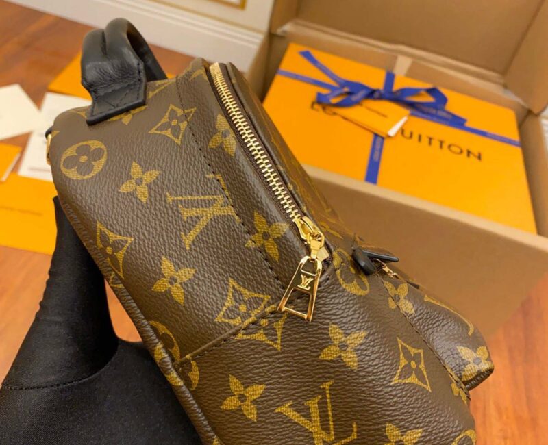 Balo Louis Vuitton Palm Springs Mini Brown