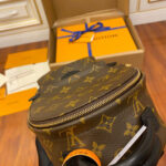 Balo Louis Vuitton Palm Springs Mini Brown