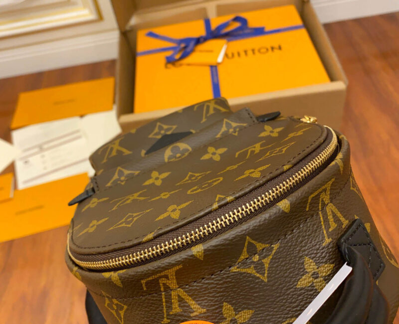 Balo Louis Vuitton Palm Springs Mini Brown