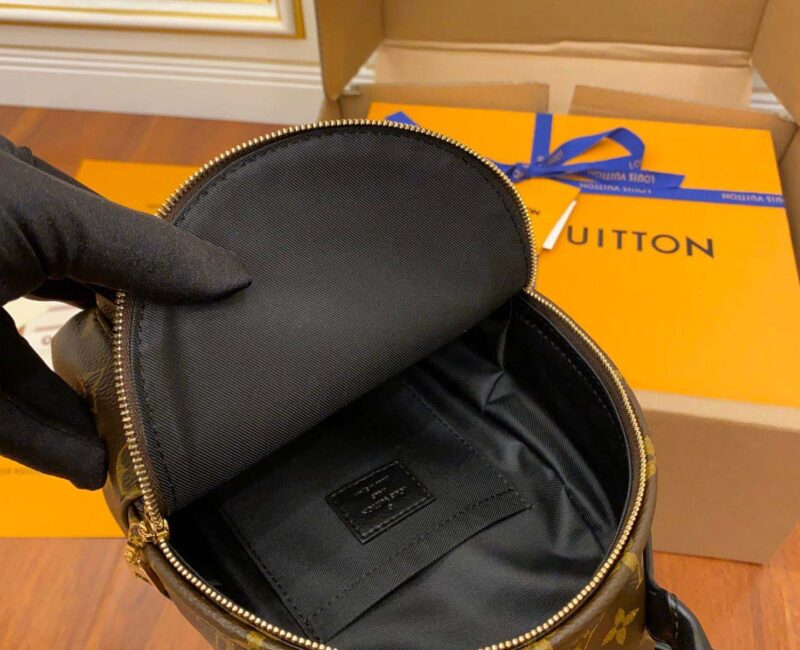 Balo Louis Vuitton Palm Springs Mini Brown