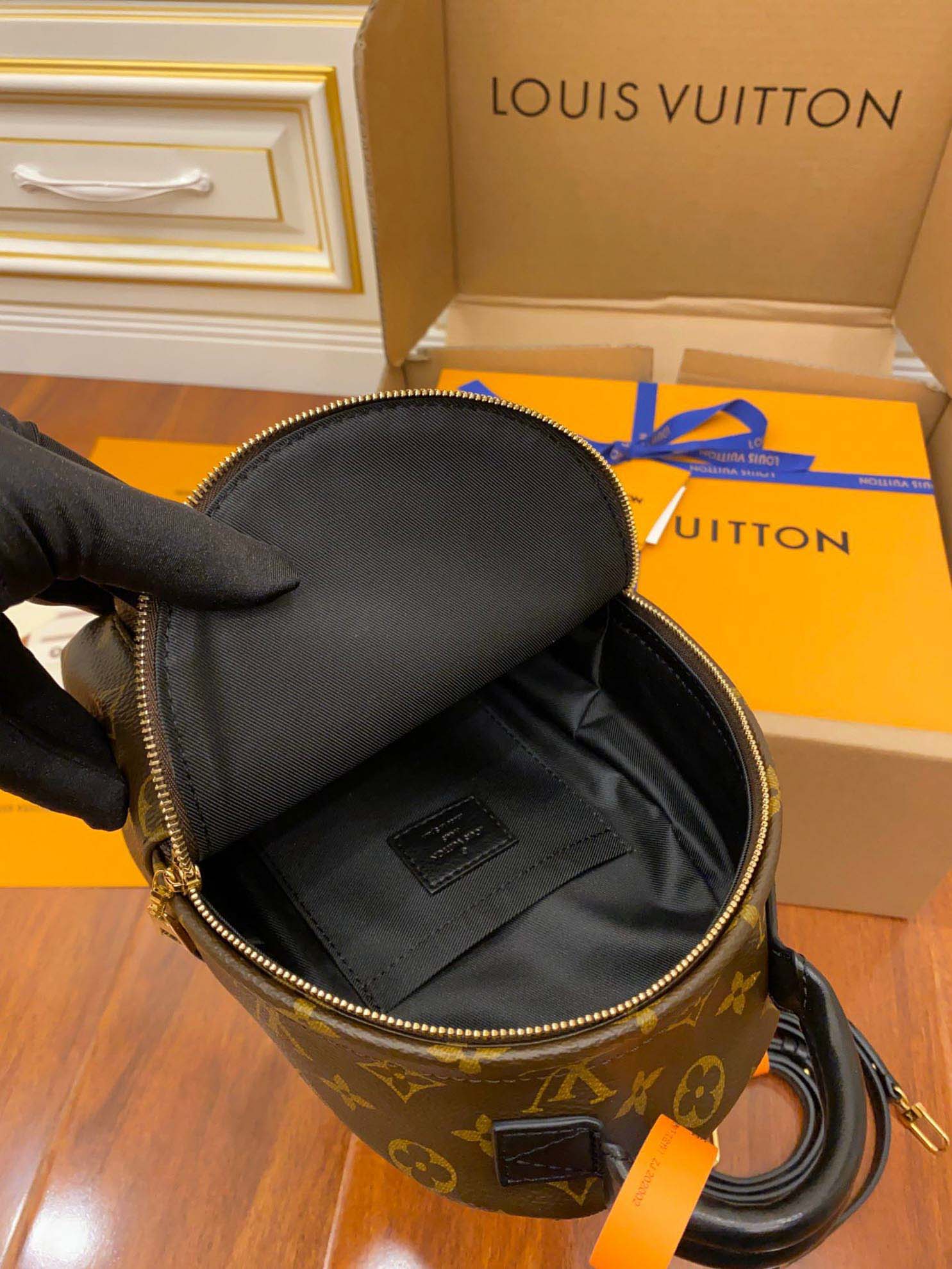 Balo Louis Vuitton Palm Springs Mini Brown