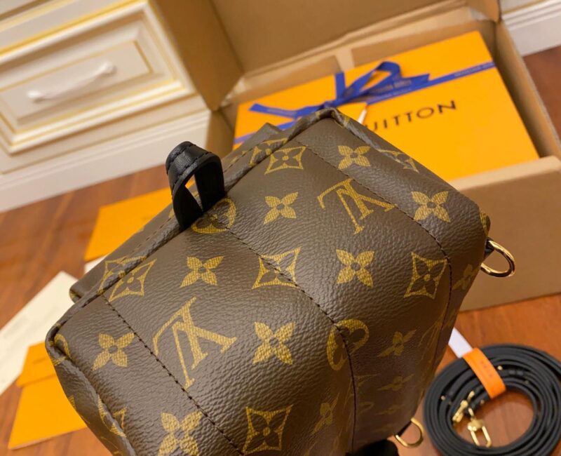 Balo Louis Vuitton Palm Springs Mini Brown