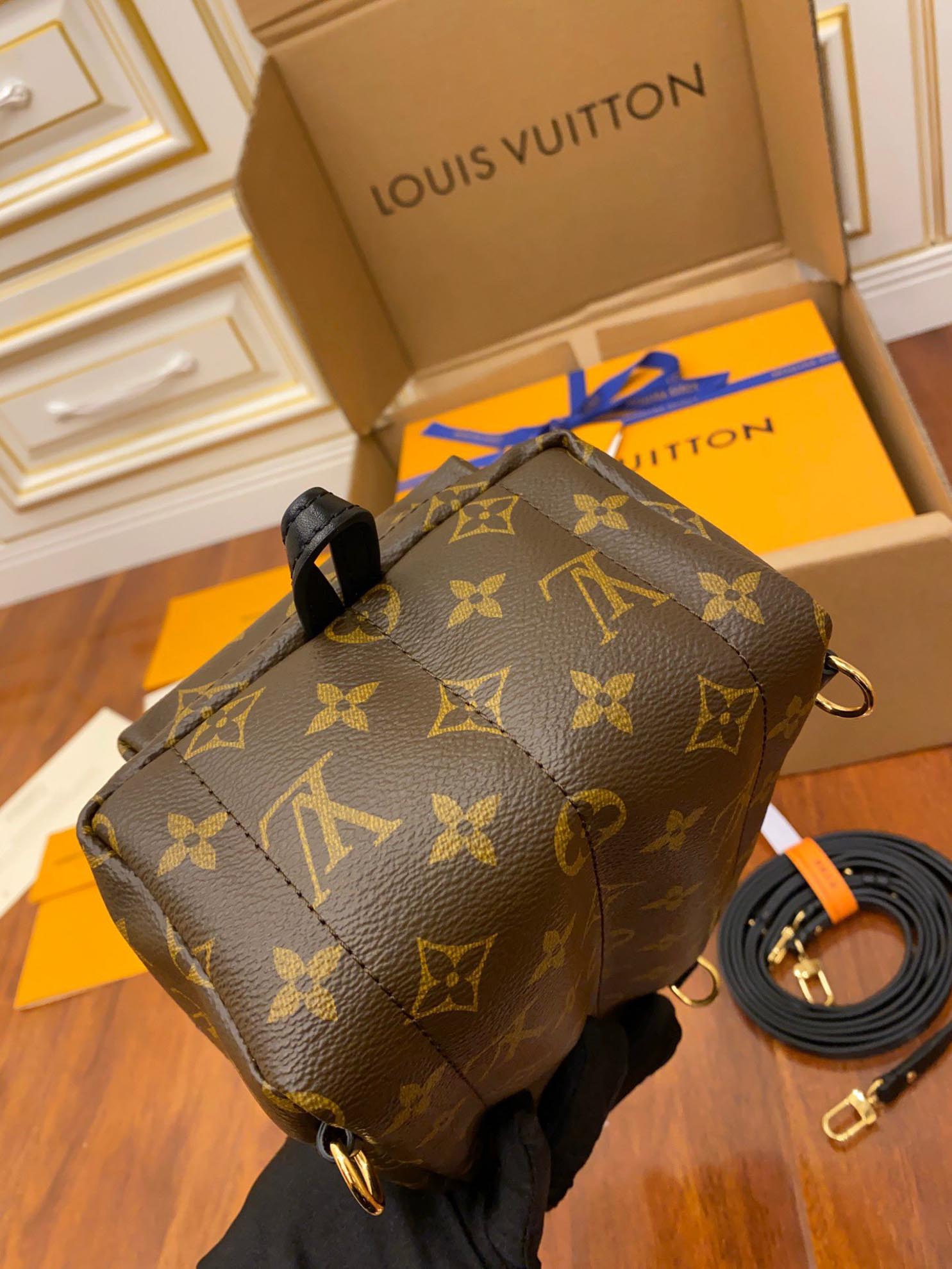 Balo Louis Vuitton Palm Springs Mini Brown
